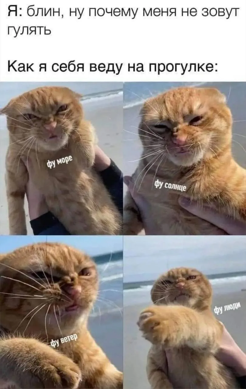 🤣Юмор в картинках