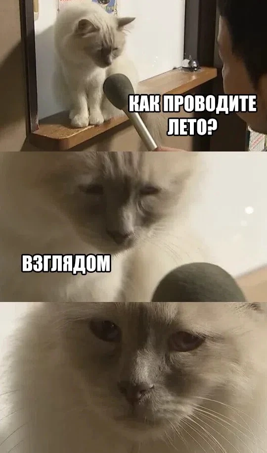 Весёлые анекдоты