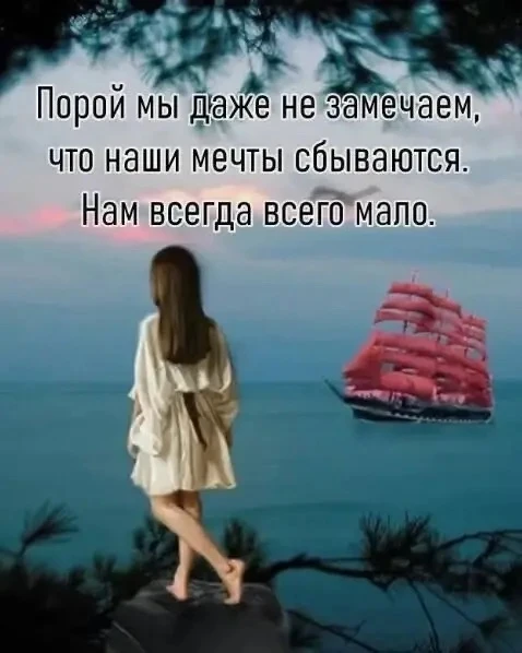 Цитаты жизни