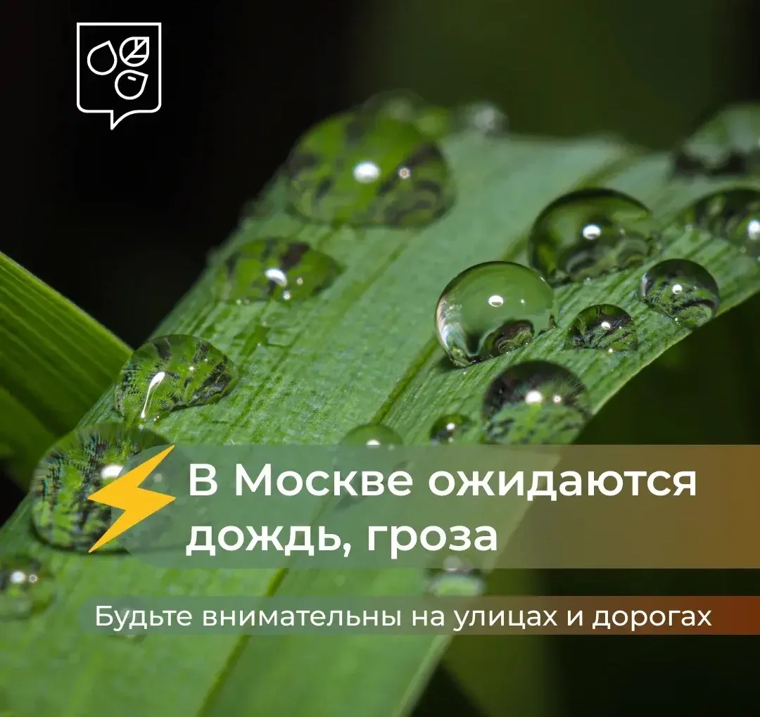 ⚡️ В Москве ожидаются кратковременный дождь и гроза

В ближайшие часы и до 20:00 в столице местами о