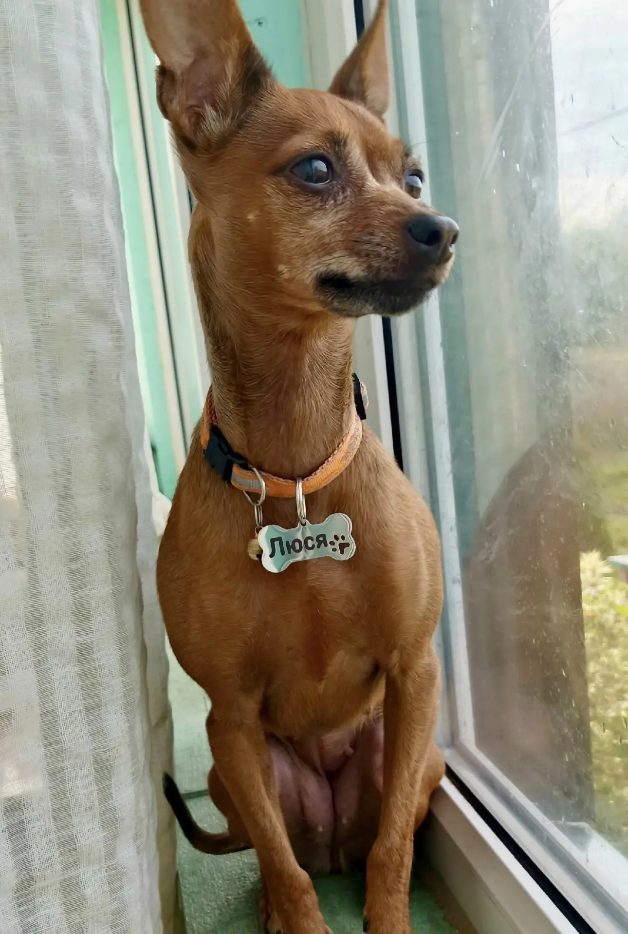 🐾🙈😅