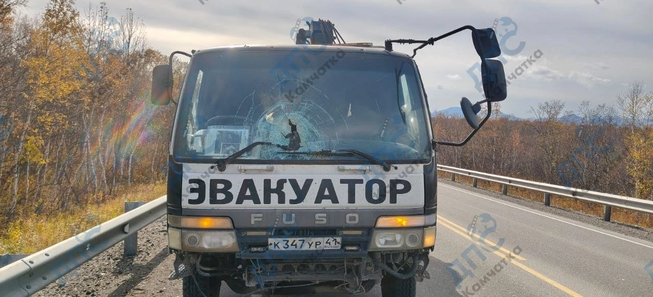Внимание, поиск очевидцев!