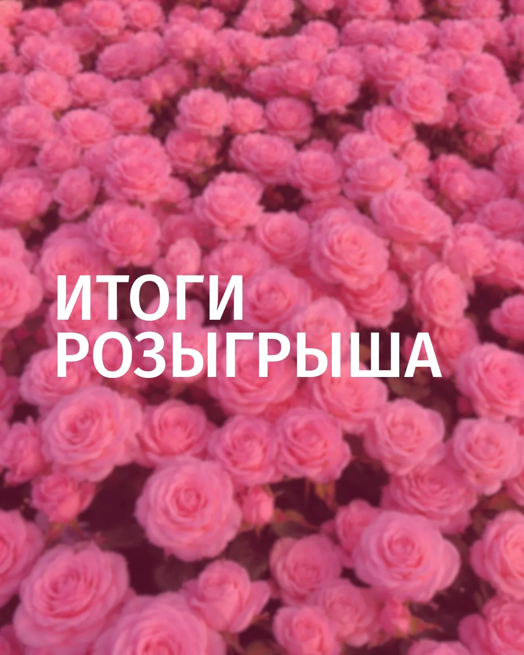 Дорогие друзья!💐