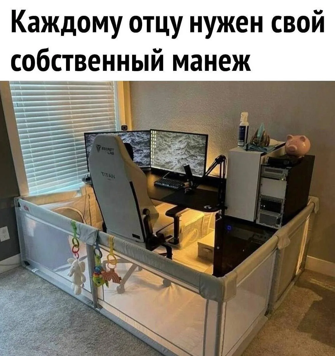 Мемы каждый день • Подписаться