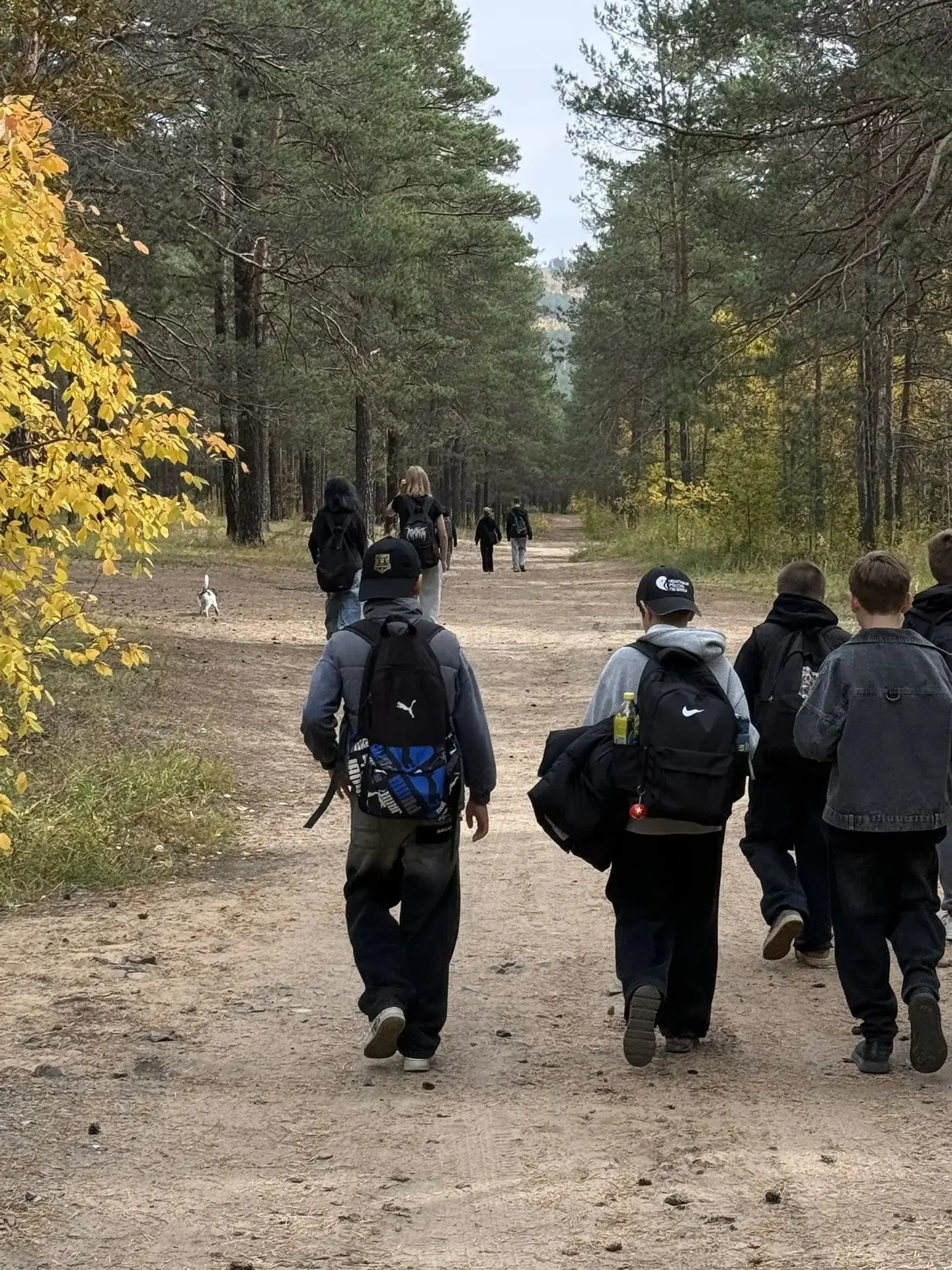 6 "В" класс сегодня сходили в поход в лес на СибВО🍁