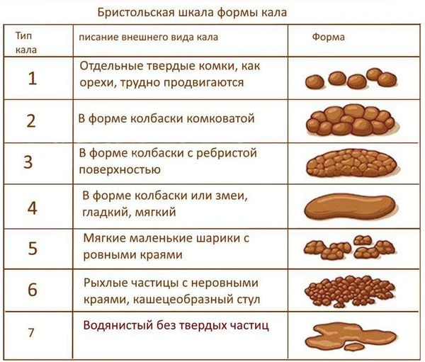БРИСТОЛЬСКАЯ ШКАЛА КАЛА