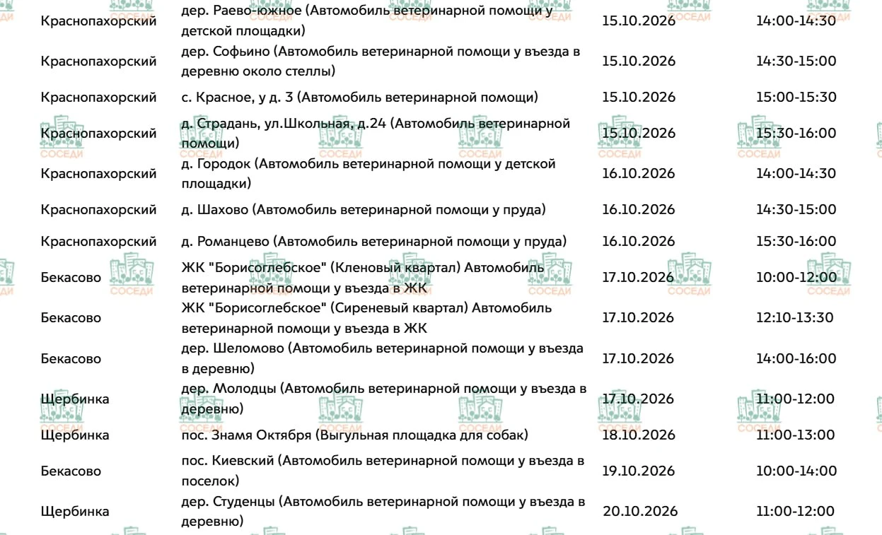 💉 🐱 График вакцинации животных государственной ветеринарной службой ТиНАО на октябрь