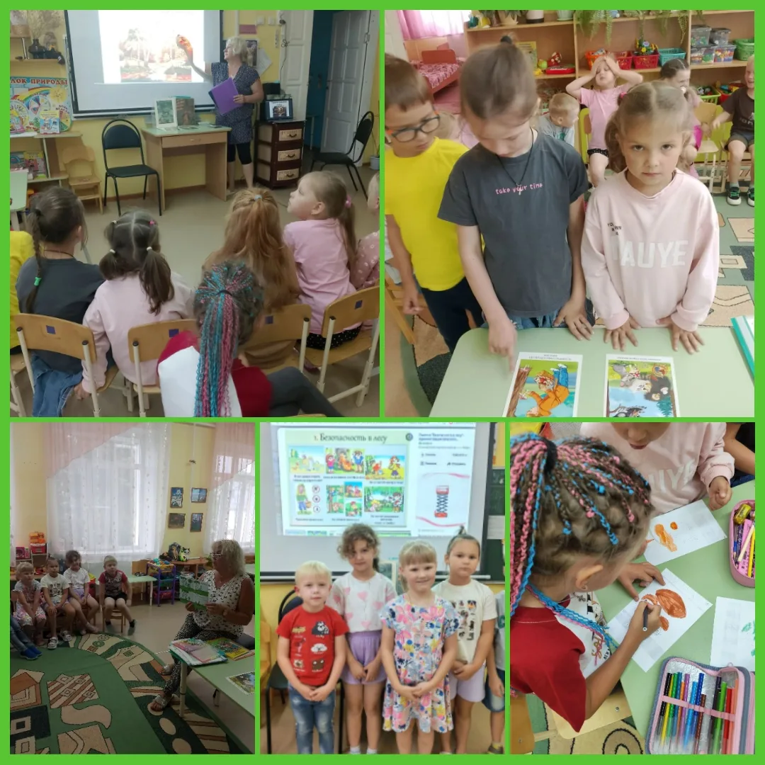 🌲 В группах «Солнечные зайчики» и «Звёздочки» прошел важный день безопасности, где наш...