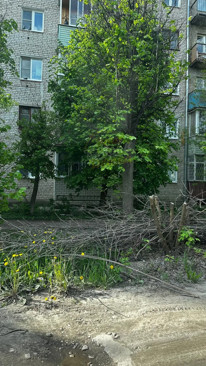 ❗️ Хочу обратить внимание на улицу Лесную!  Мы тоже живём в этом городе, и нам очень обидно видеть, 