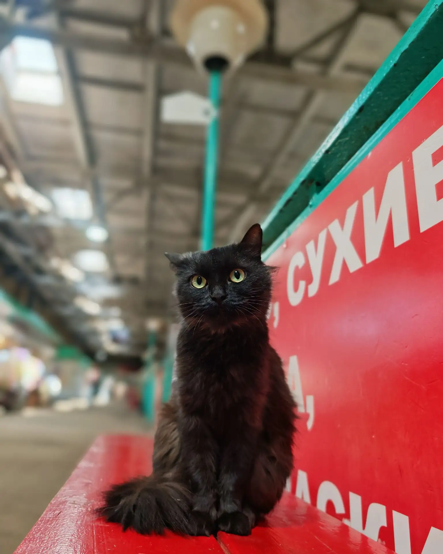 Пока машина была на ТО, решила не терять время и прогулялась по легендарному НКЦ на Пер...