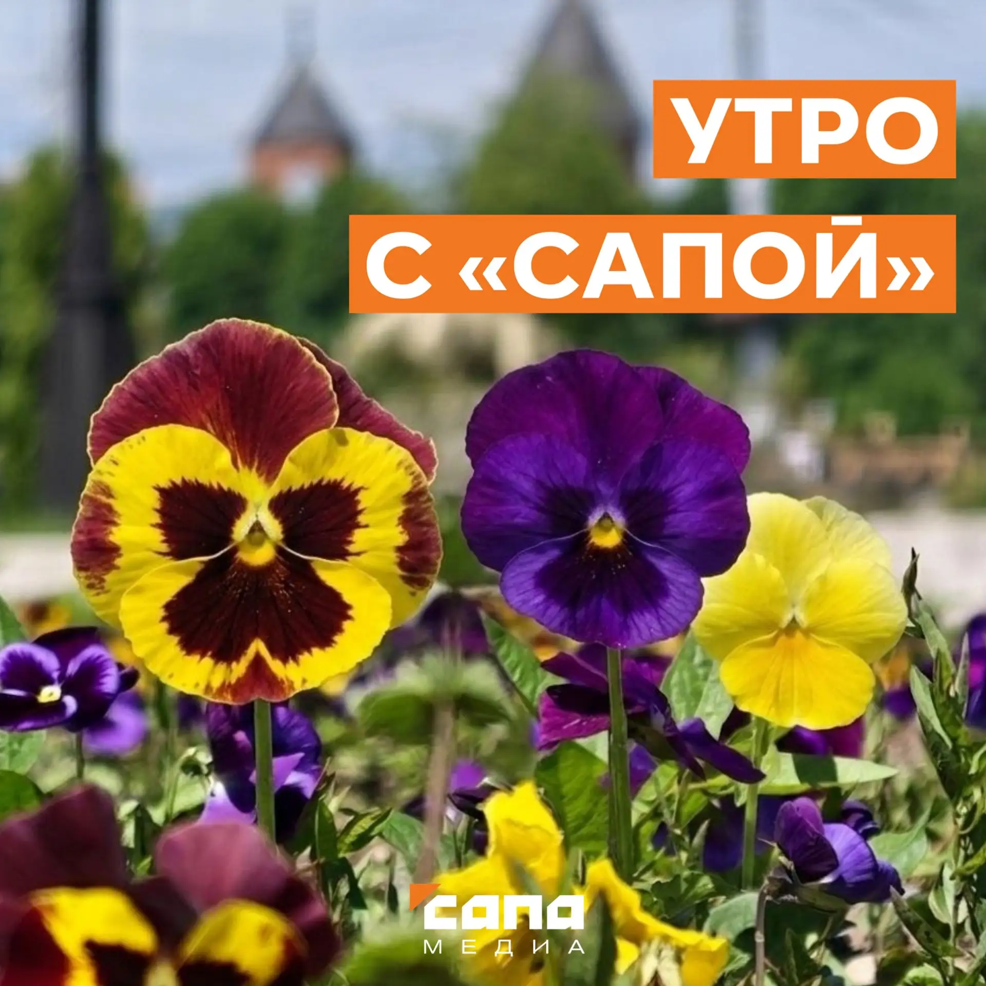 Информация, которая может тебе пригодиться