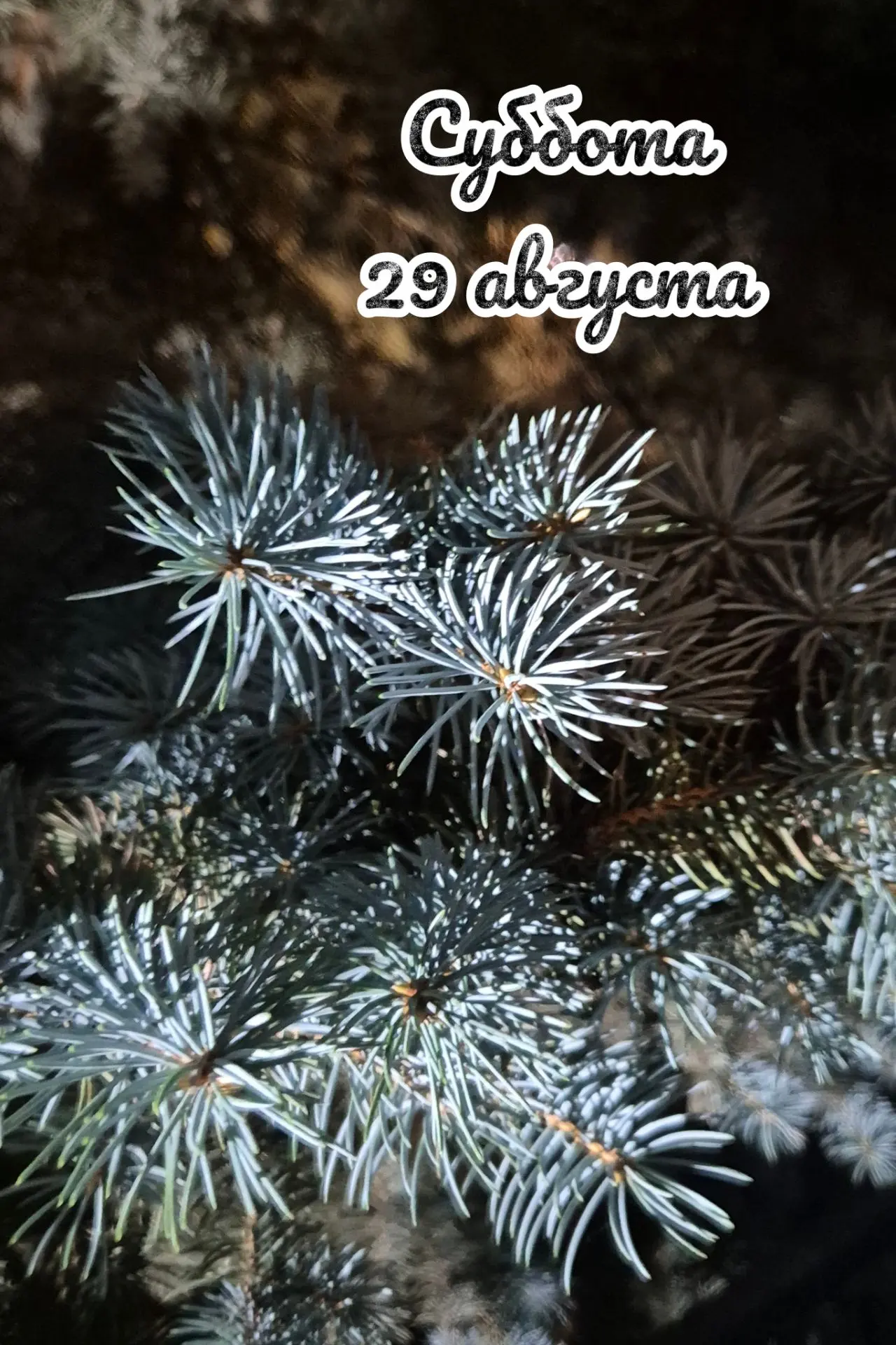 📅 Суббота, 29 августа: день баланса ⚖️