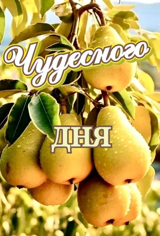 Доброго, бодрого утра!.