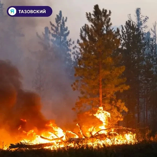 На Ямале действует 122 природных пожара