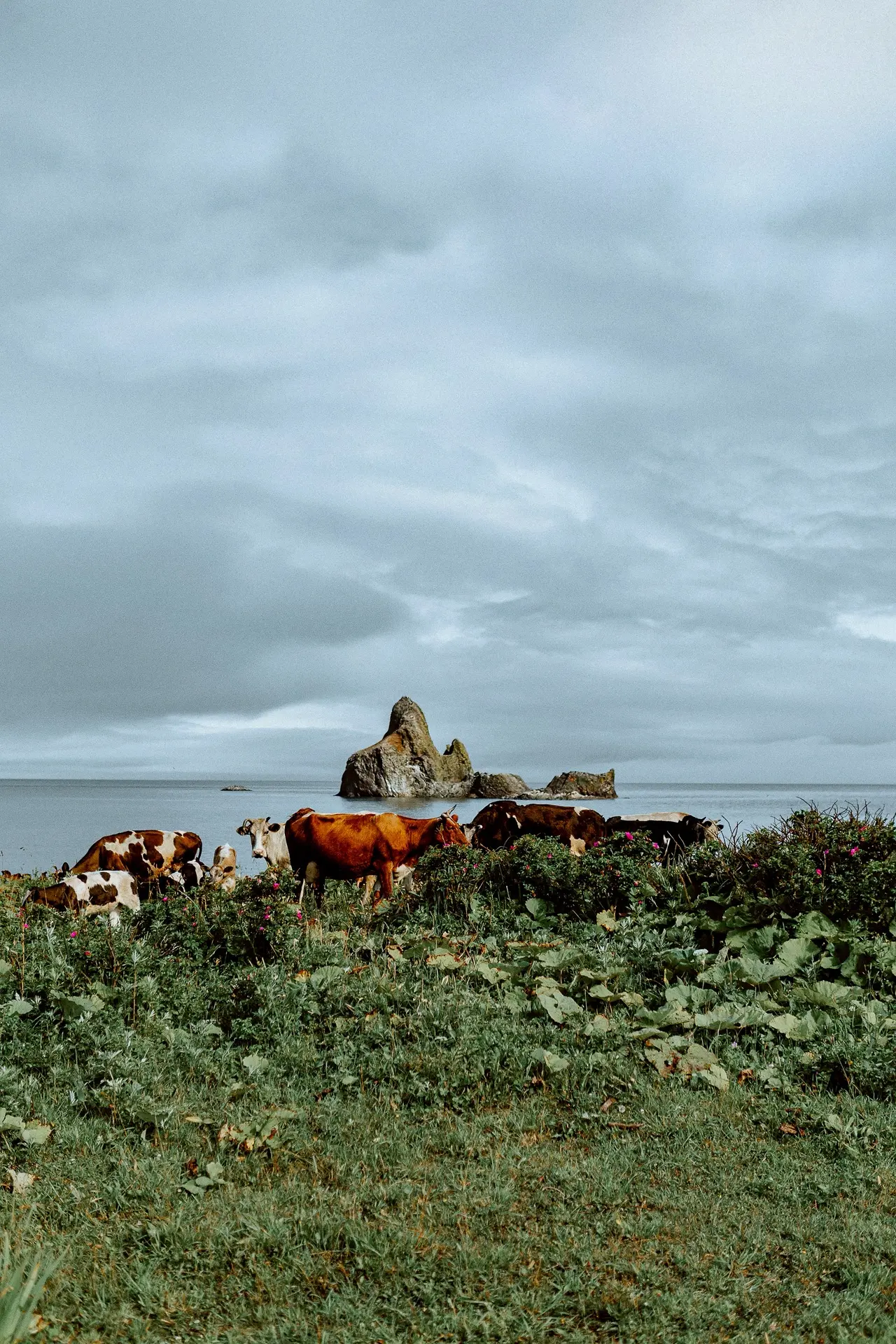 Изображение 1 к публикации «Марк Ерёмин»