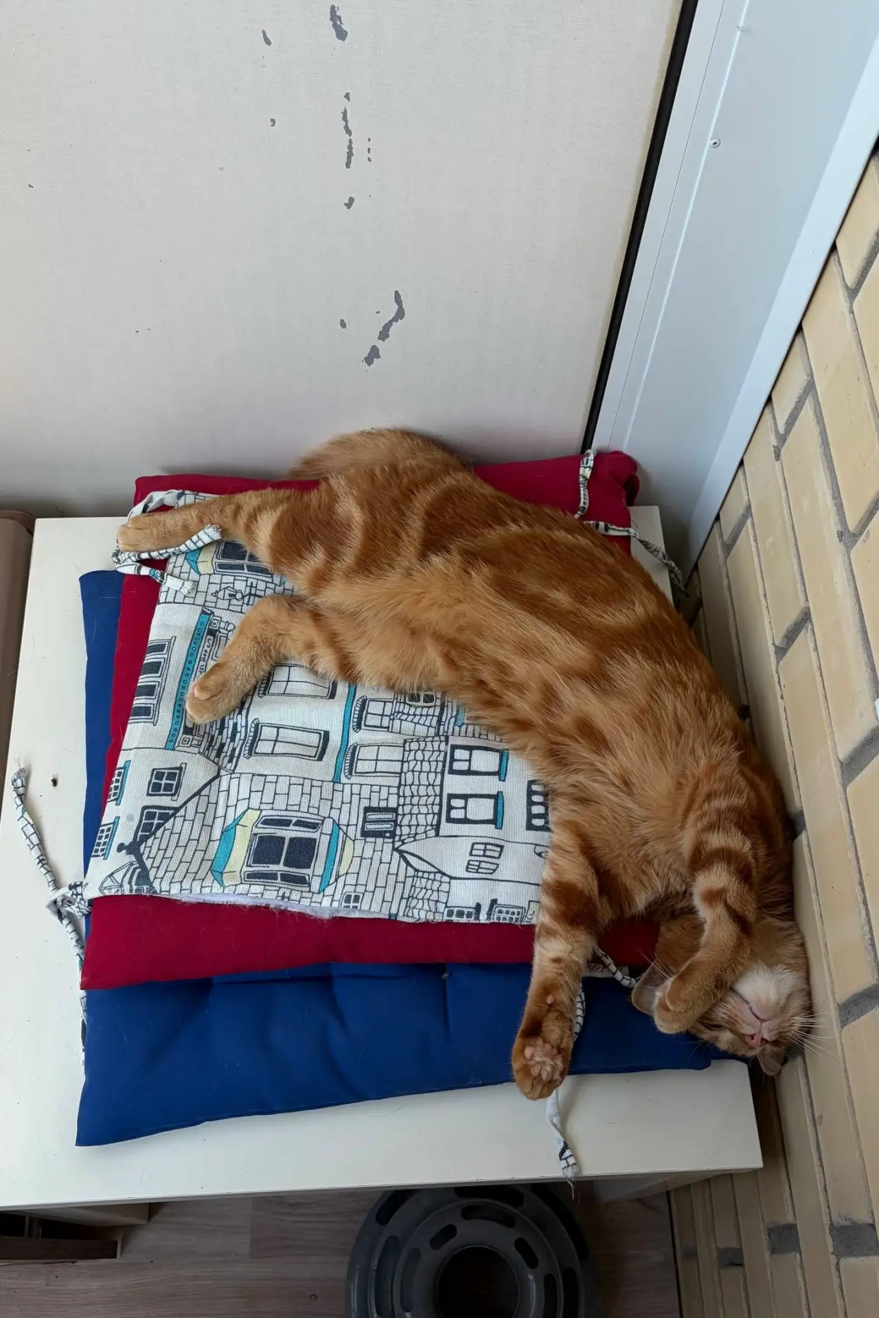 #из_нового_дома