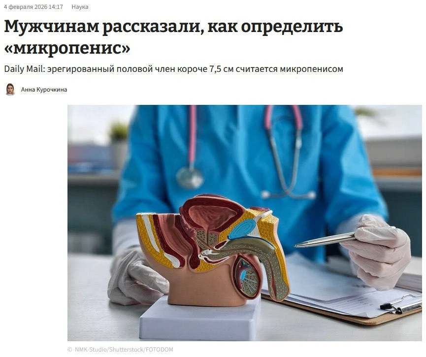 Микропенису дали определение: учёные объяснили, когда размер полового органа действител...