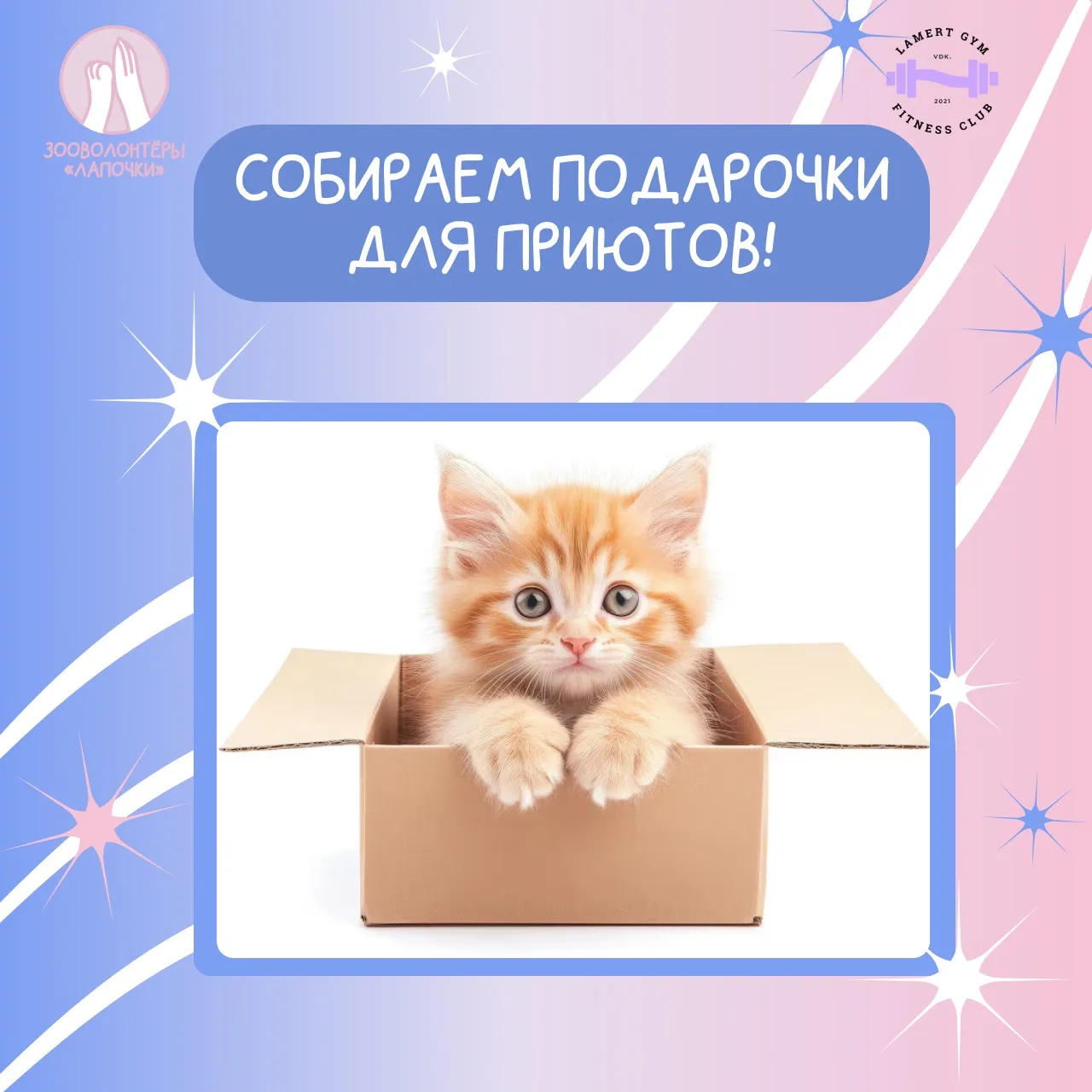 ПОДАРОЧКИ ДЛЯ ФОНДОВ 💗