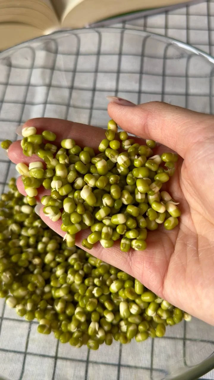 КОТЛЕТЫ ИЗ МАША🧆  Также приготовила соус из авокадо, рукколы и чеснока, который гармонично сочетаетс
