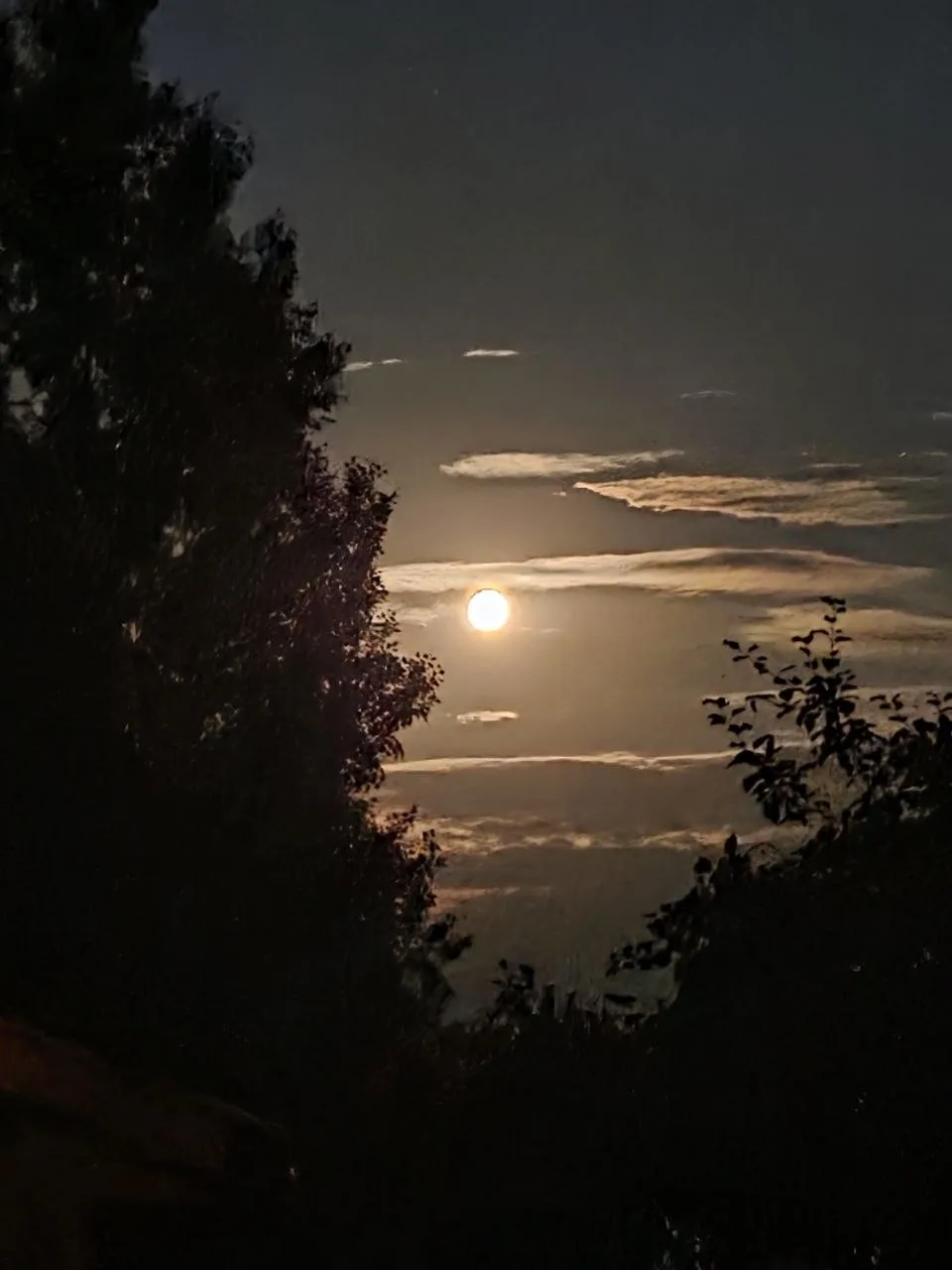 🌕 Лунные ночи в Красноармейске