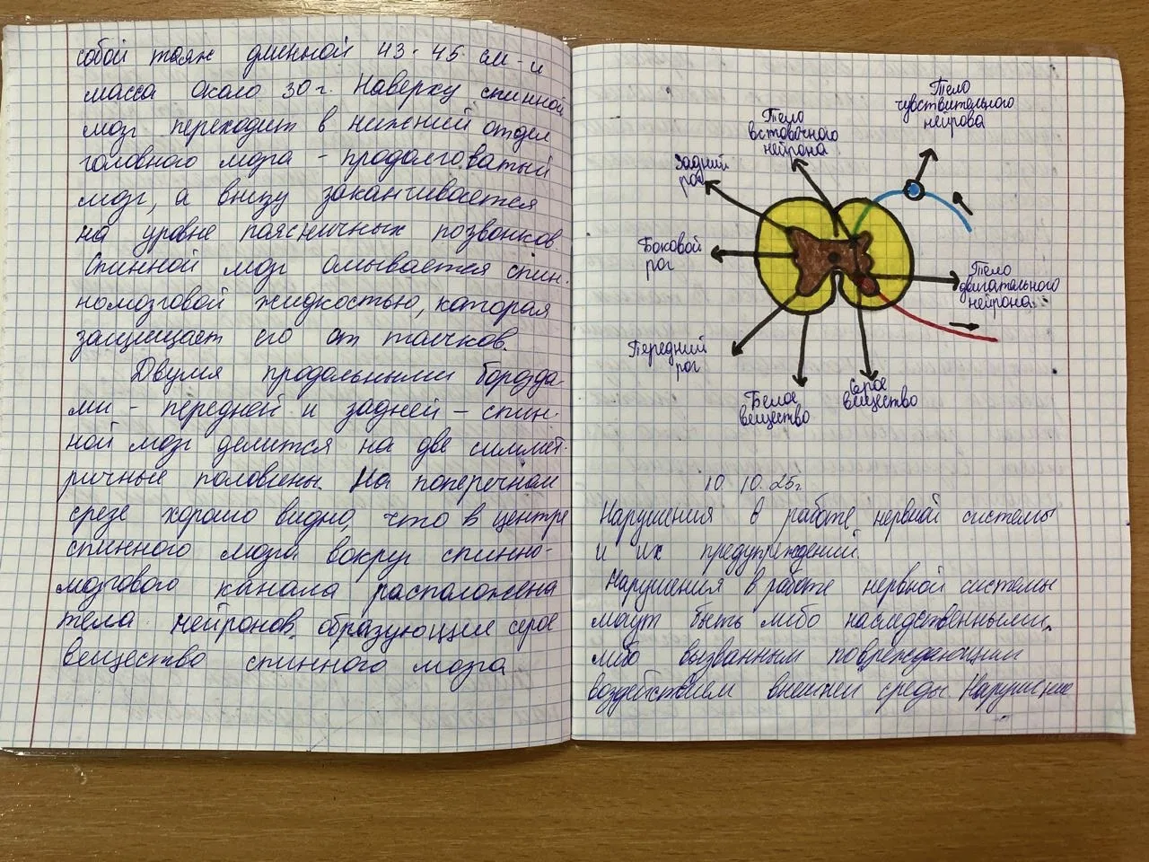 Рабочие тетради по биологии. Учитель Шабиханова З.Л.