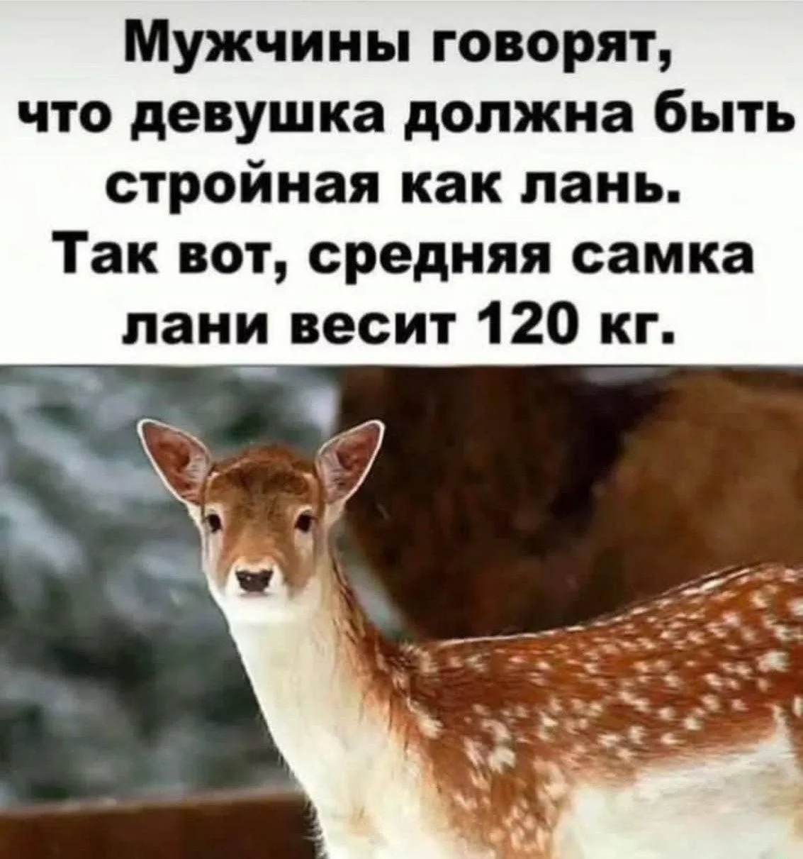 Это Позитив! Вроде.