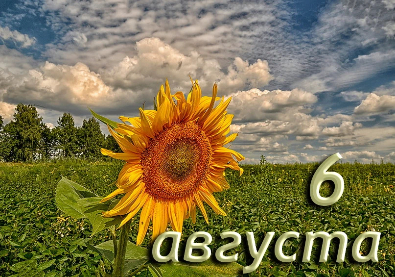 6 августа — дата, в которой тесно переплелись трагедия, святость и народная мудрость. Э...