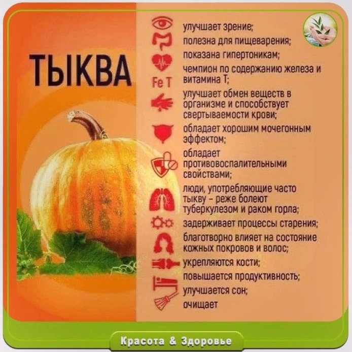 Тыква.