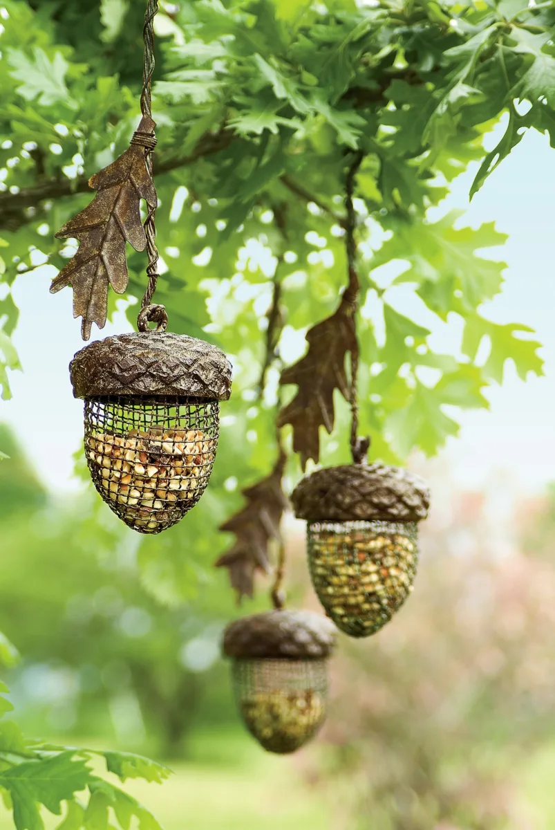 🌰 Когда даже кормушка становится частью природы. 🐦🌳