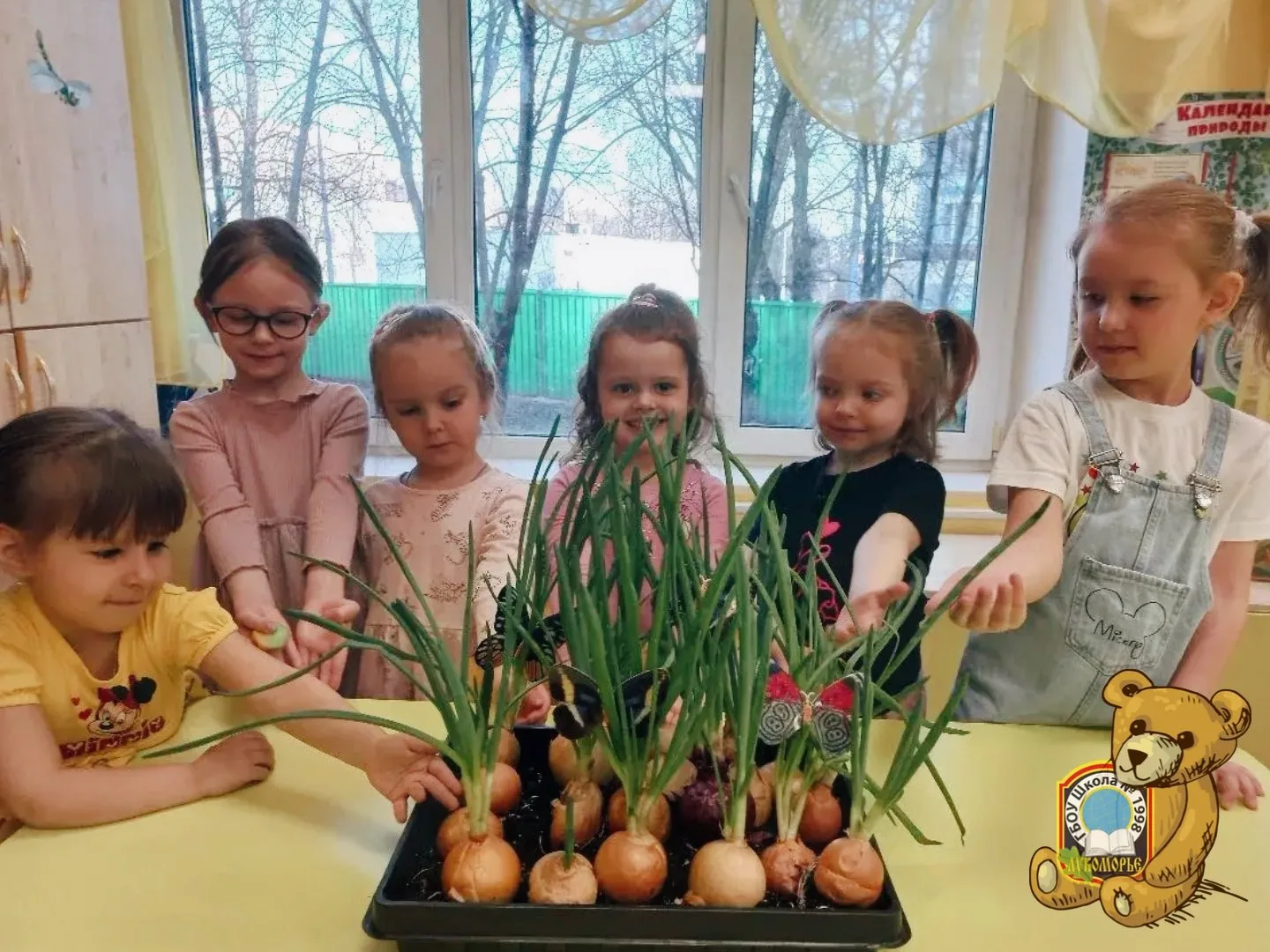 #ДайджестДошколят | Огород на подоконнике 🌱  В группе «Алые паруса» появился настоящий мини-огород п