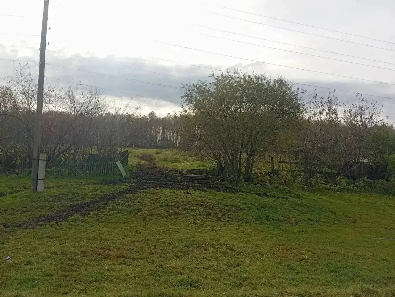 Медведь растерзал женщину в Красноярском крае.