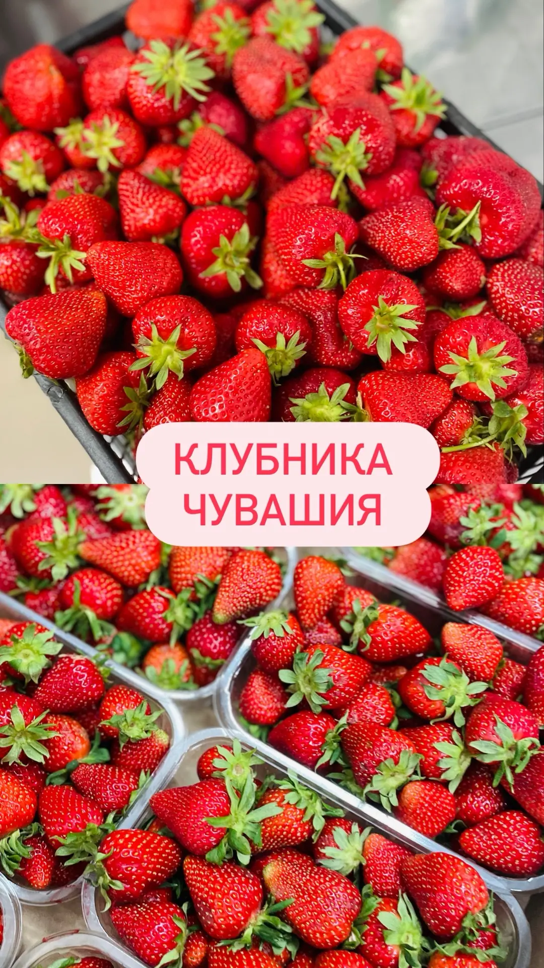 Дорогие покупатели ✨