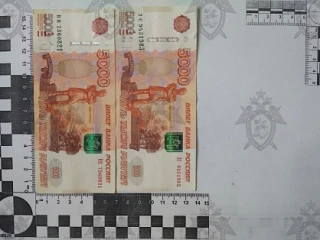 Житель Орловского района осужден за покушение на дачу взятки сотруднику ГИБДД

Собранные Зимовниковс