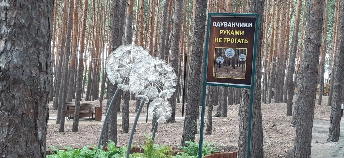 Путешествия

Друзья, наше путешествие сегодня по интересным местам Волгоградской области. Наш экскур