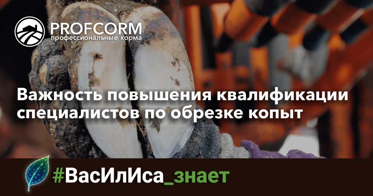 В молочной отрасли часто упускают из виду, что продолжение образования — это не просто возможность, 