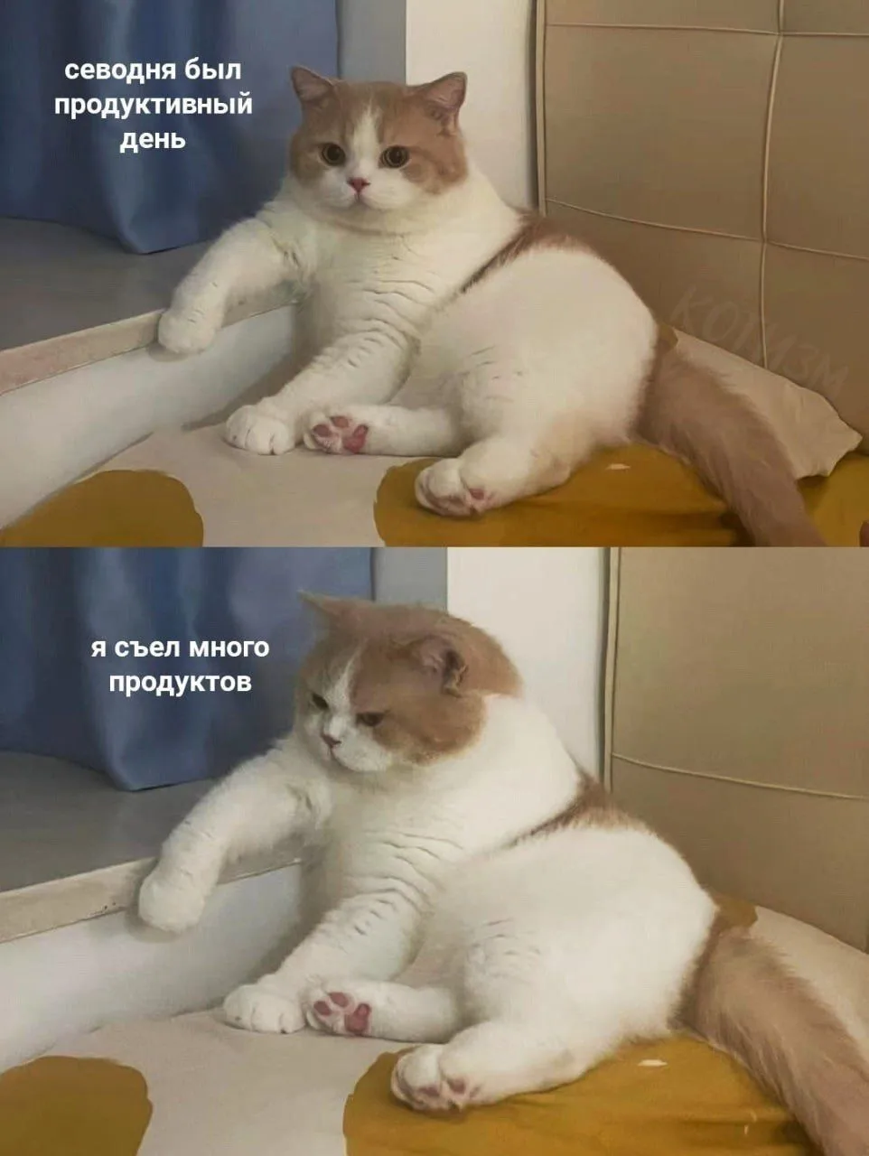 Да, было