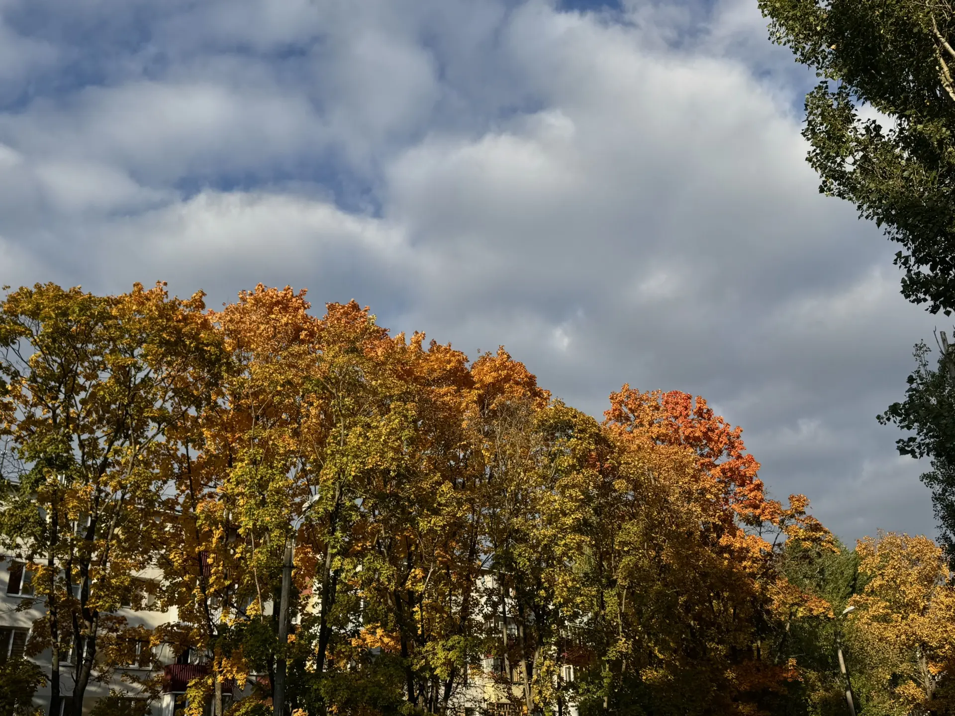 Белгород, доброе утро! Ну что, встречаем новый день? 🍁