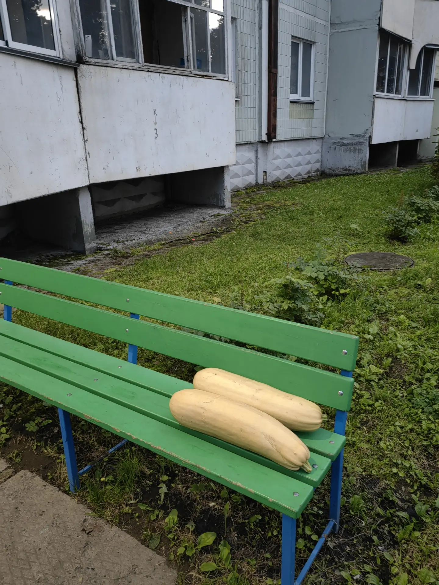 НА САМОВЫГУЛЕ...