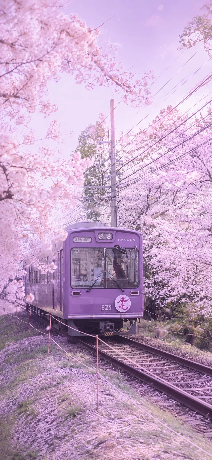 Обои в сиреневой эстетике 💜