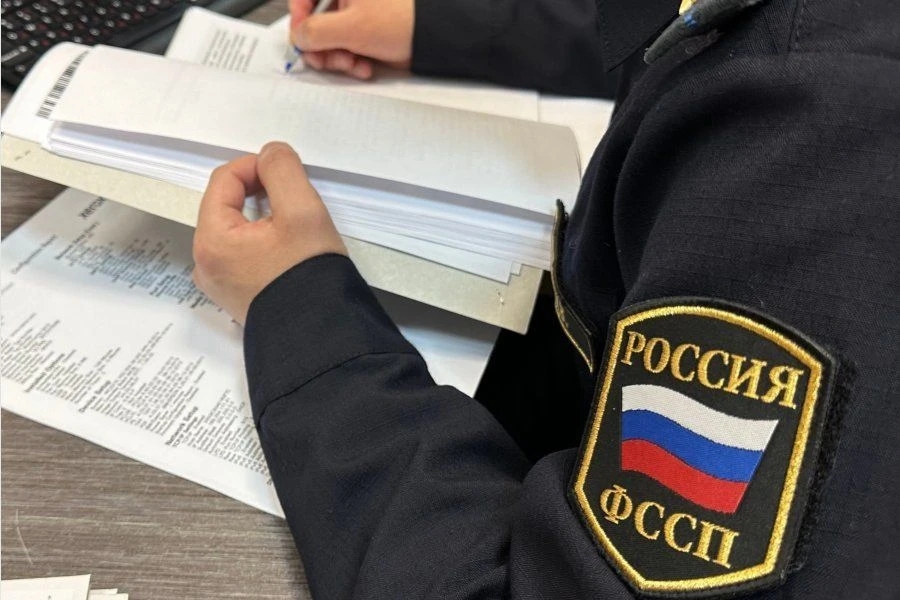 Ограничение выезда за границу заставило рязанца погасить более 250 тысяч рублей долга п...