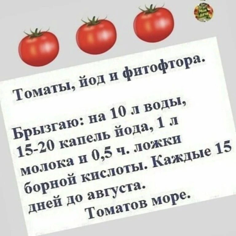 НАШИ КАНАЛЫ: