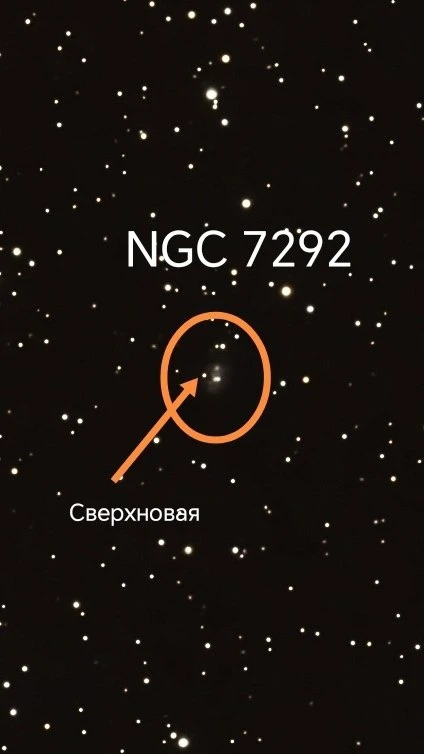 Друзья, важный пост! Особенно для гостей на следующей неделе. Ваш ждет эксклюзив🤫

Что сейчас?
Мы п
