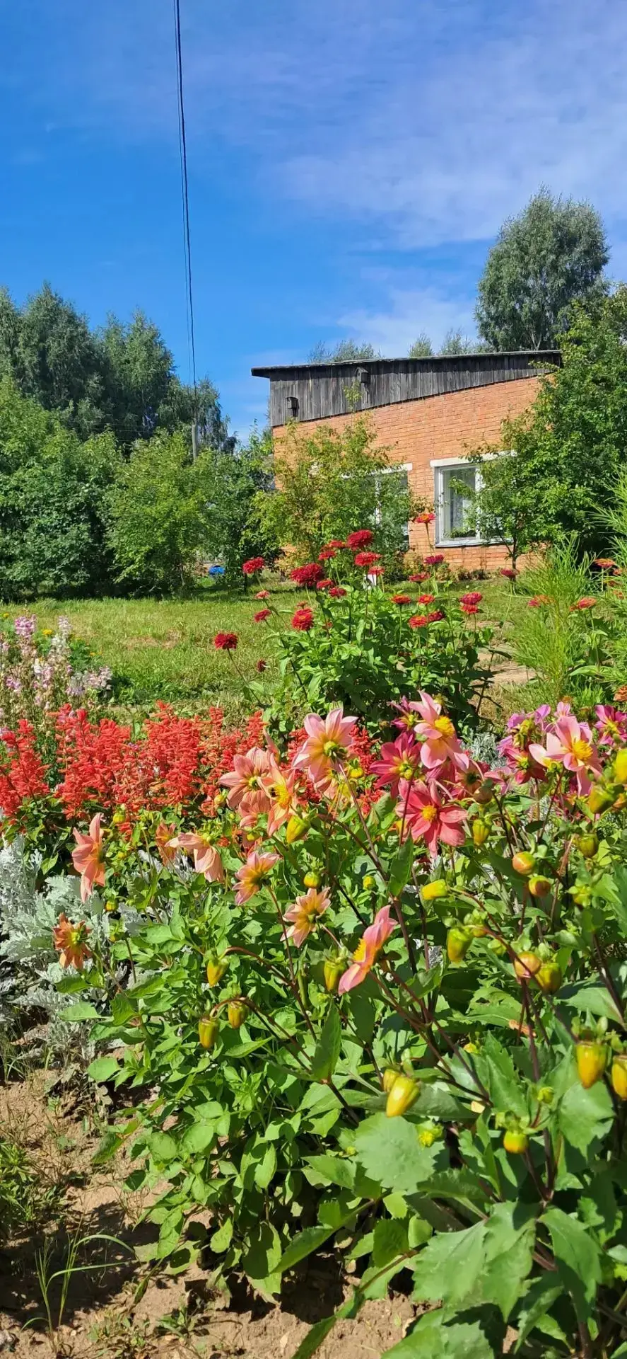 🏫Настоящее украшение нашей школы в эти летние дни — это цветущие клумбы. Благодаря еже...