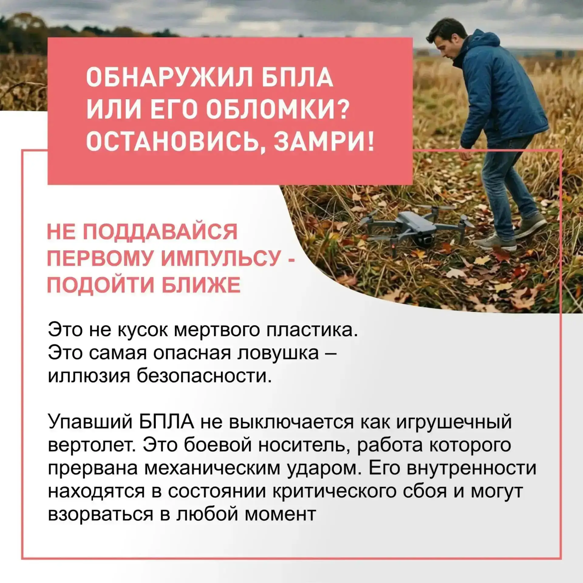 Фото
