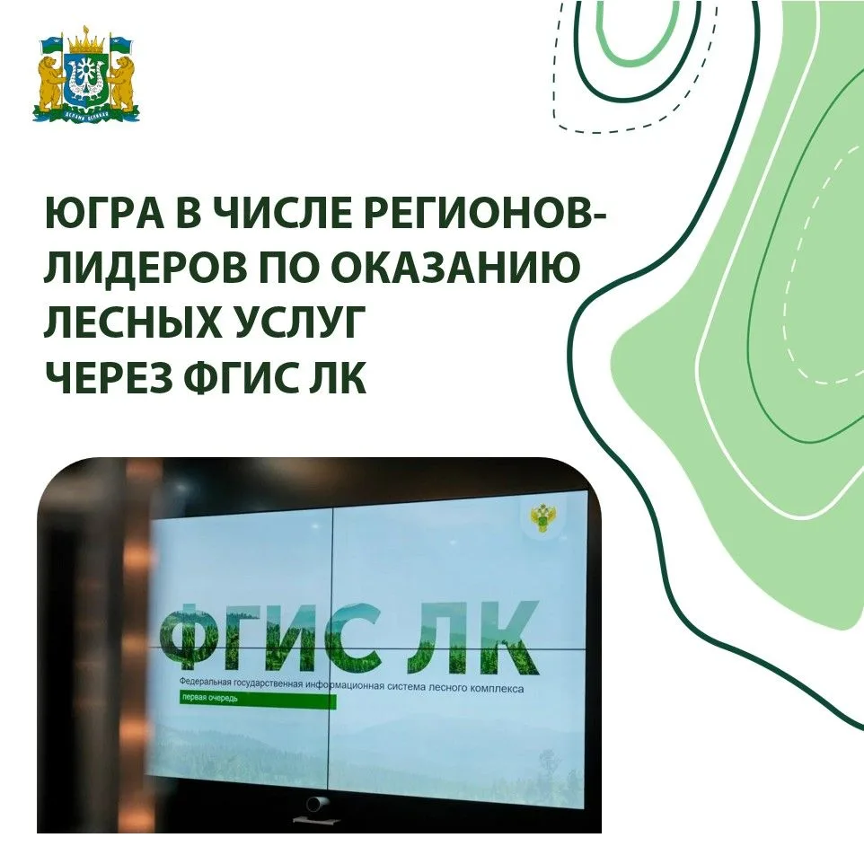Рослесхоз подвел итоги работы во ФГИС Лесного комплекса в I полугодии 2026 года