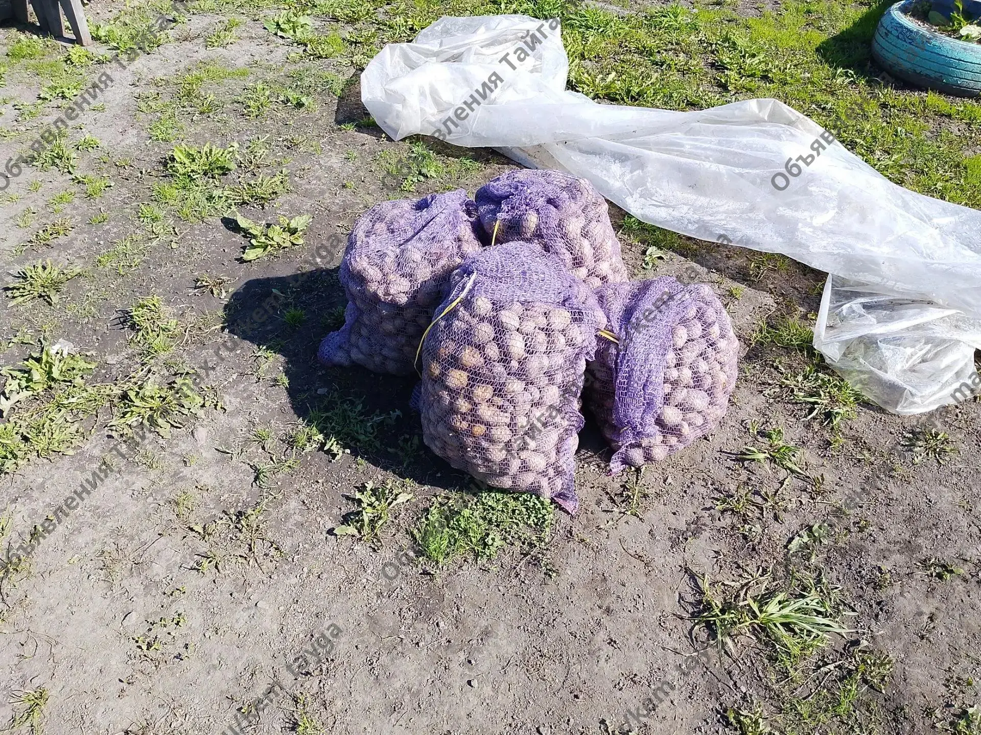 Отдам даром +79618616183