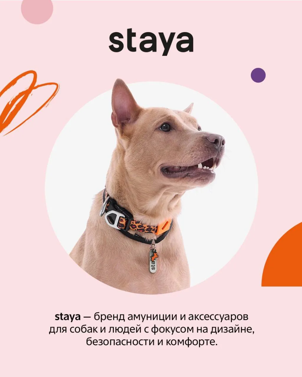 Партнер Четыре Лапы Фест💜

staya — бренд амуниции и аксессуаров для собак и людей с фокусом на диза