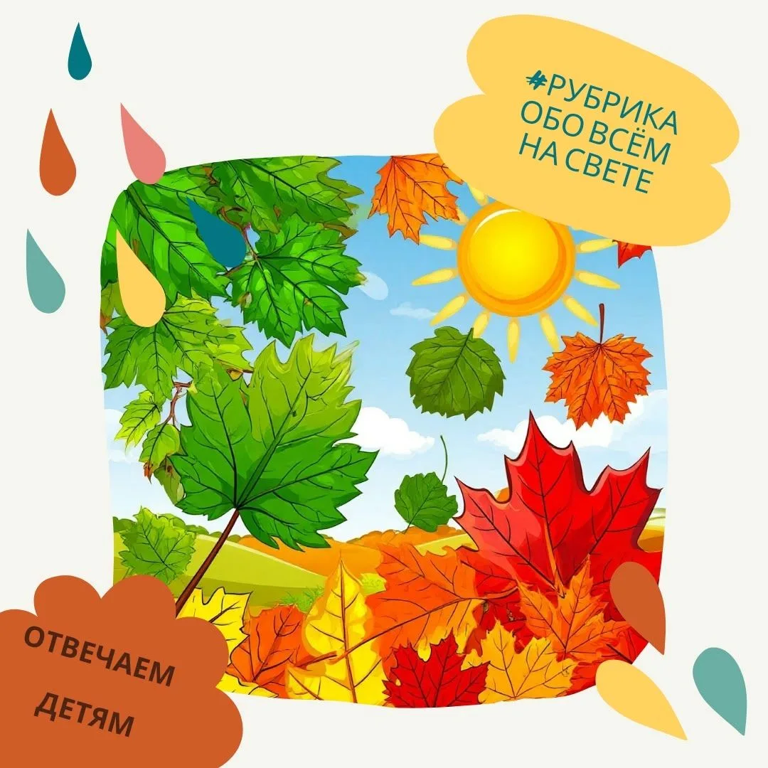 🎨Краски под зелёным одеялом