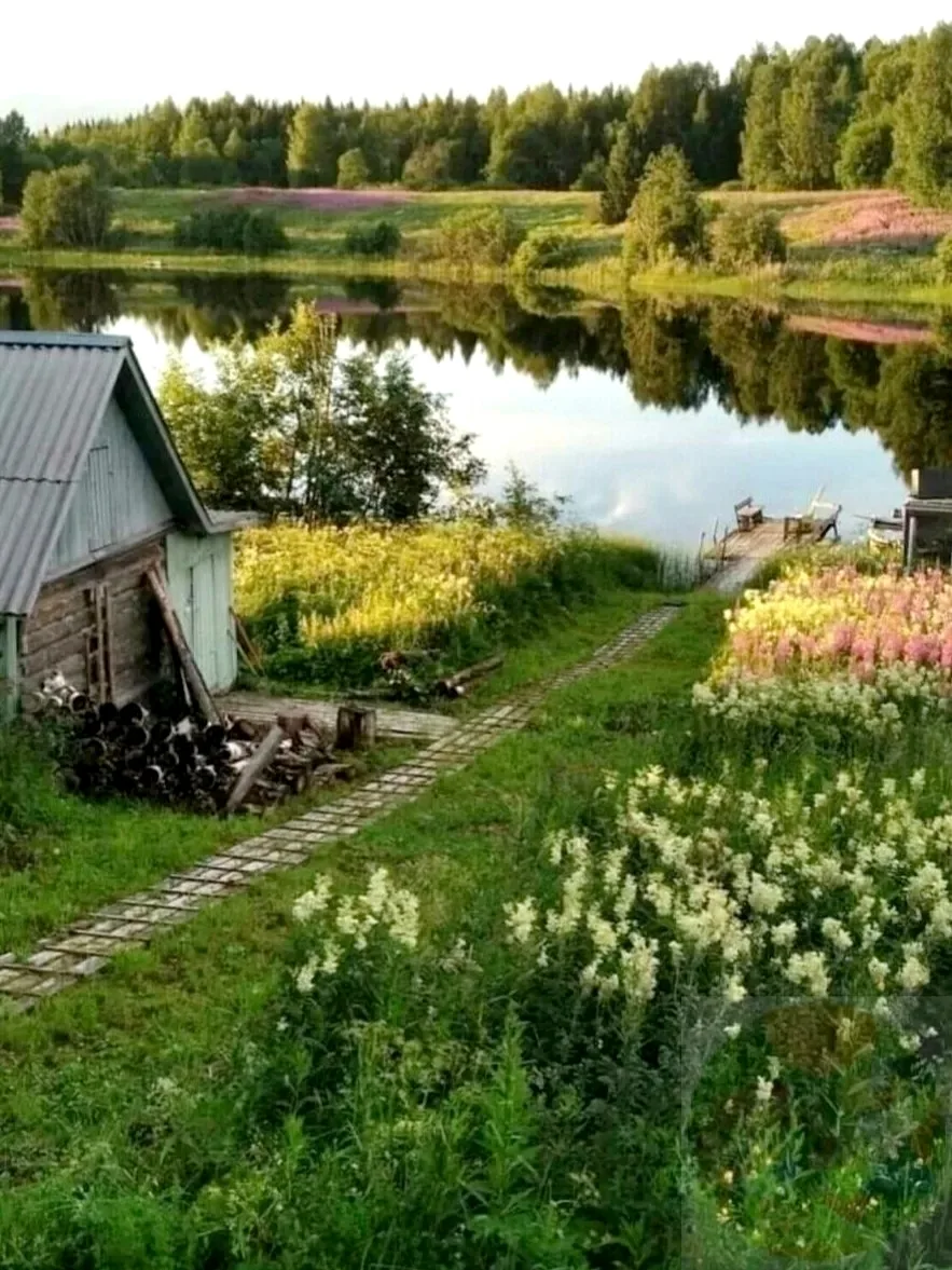 Ну какая же красота на фото😍. Жаль наша дача не находится в таком живописном природном...