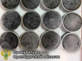 ❗️Житель Оренбуржья оштрафован на 250 тысяч рублей за намерение вывезти из страны 10 кг черной икры 